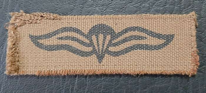Border War: 1980s SADF Nutria Printed Static-Line Parachute Wing Qualification Badge (ex-Mount).