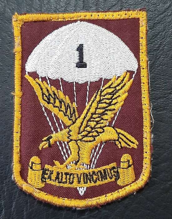 Border War: 1980s SADF 1 Parachute Battalion Embroidered Unit Tracksuit Badge.