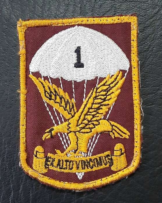 Border War: 1980s SADF 1 Parachute Battalion Embroidered Unit Tracksuit Badge.
