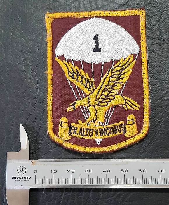 Border War: 1980s SADF 1 Parachute Battalion Embroidered Unit Tracksuit Badge.