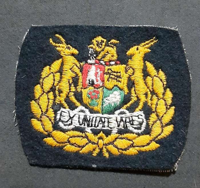 Border War: 1980s SADF - Warrant Officer Class I Step-Out Embroidered Rank Insignia (x2).