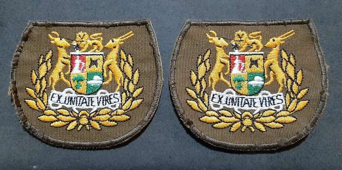 Border War: 1980s SADF Nutria Warrant Officer I Colour Embroidered Rank Insignia Pair( 2 x Pcs)