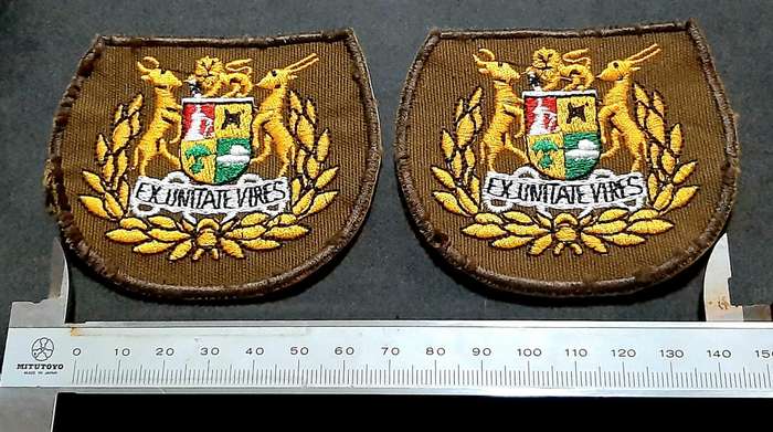 Border War: 1980s SADF Nutria Warrant Officer I Colour Embroidered Rank Insignia Pair( 2 x Pcs)