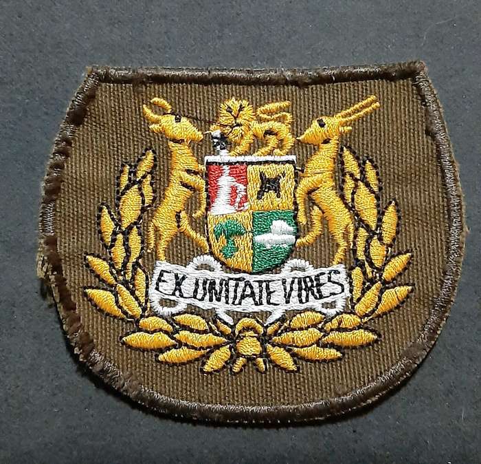 Border War: 1980s SADF Nutria Warrant Officer I Colour Embroidered Rank Insignia Pair( 2 x Pcs)