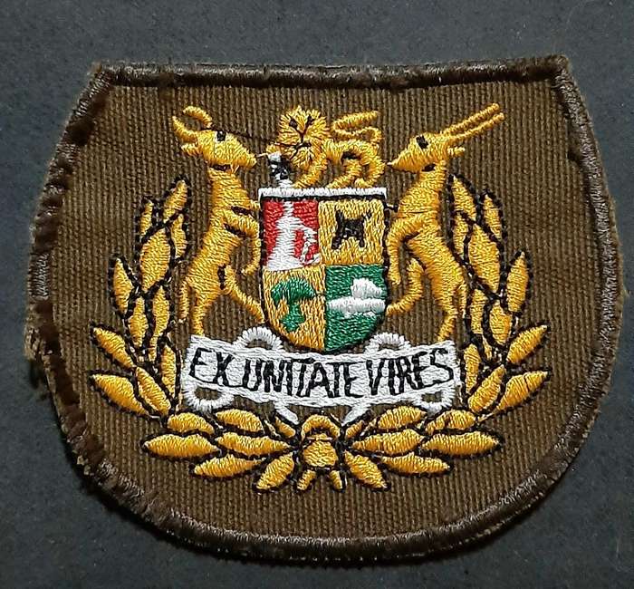 Border War: 1980s SADF Nutria Warrant Officer I Colour Embroidered Rank Insignia Pair( 2 x Pcs)