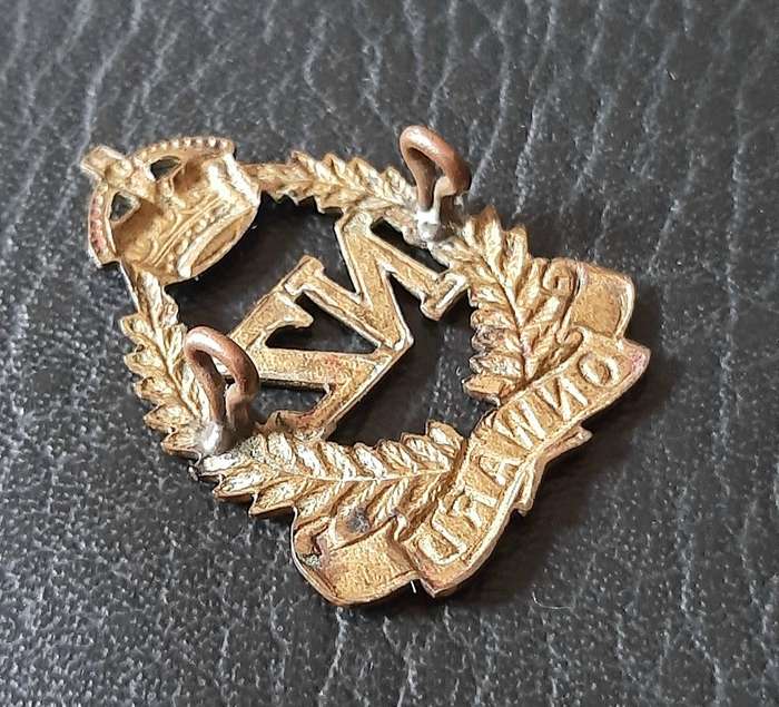 WW1: (ANZAC) New Zealand Military Forces Brass Cap Badge (Lugs Intact).