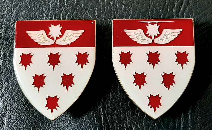 RARE: Border War 1980s - SAMS 7 Medical Battalion 'Recce' Metal & Lucite Flash Pair (Pins Intact).