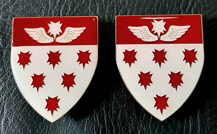 RARE: Border War 1980s - SAMS 7 Medical Battalion 'Recce' Metal & Lucite Flash Pair (Pins Intact).