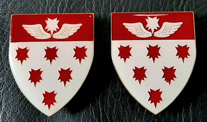 RARE: Border War 1980s - SAMS 7 Medical Battalion 'Recce' Metal & Lucite Flash Pair (Pins Intact).