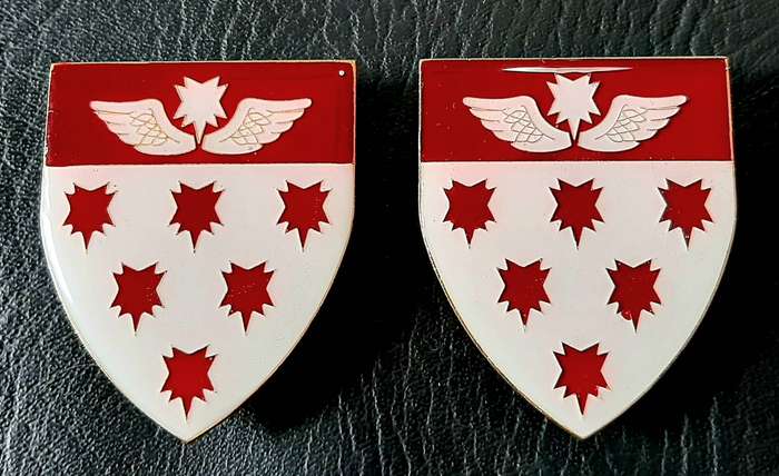 RARE: Border War 1980s - SAMS 7 Medical Battalion 'Recce' Metal & Lucite Flash Pair (Pins Intact).
