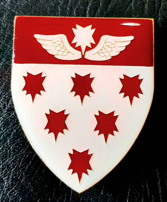 RARE: Border War 1980s - SAMS 7 Medical Battalion 'Recce' Metal & Lucite Flash Pair (Pins Intact).