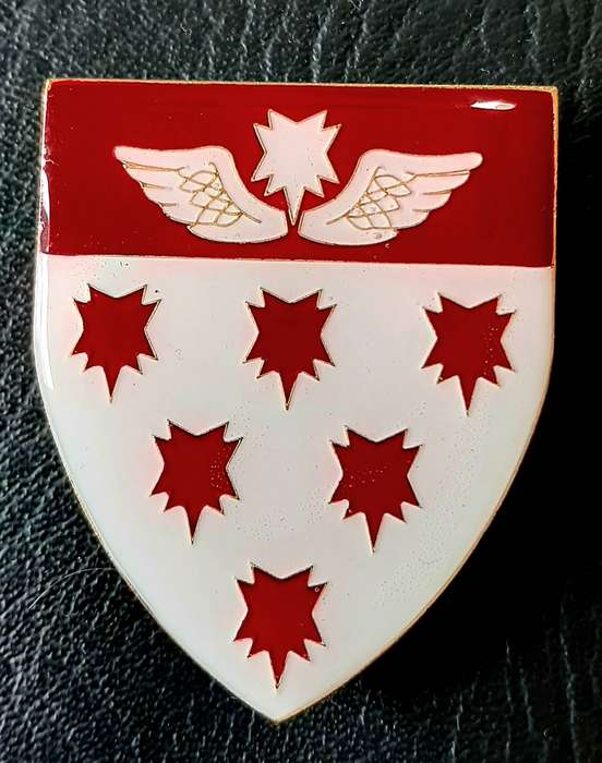 RARE: Border War 1980s - SAMS 7 Medical Battalion 'Recce' Metal & Lucite Flash Pair (Pins Intact).