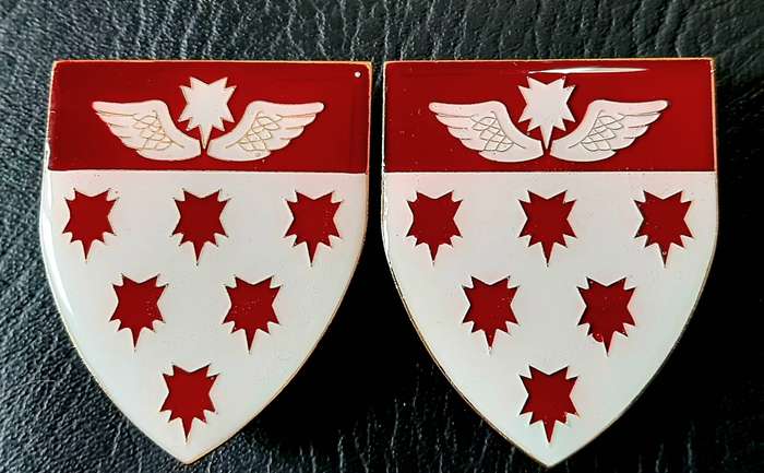 RARE: Border War 1980s - SAMS 7 Medical Battalion 'Recce' Metal & Lucite Flash Pair (Pins Intact).