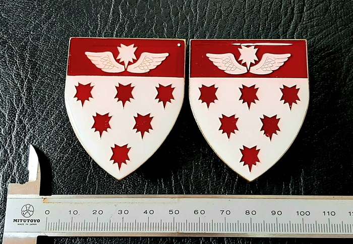 RARE: Border War 1980s - SAMS 7 Medical Battalion 'Recce' Metal & Lucite Flash Pair (Pins Intact).