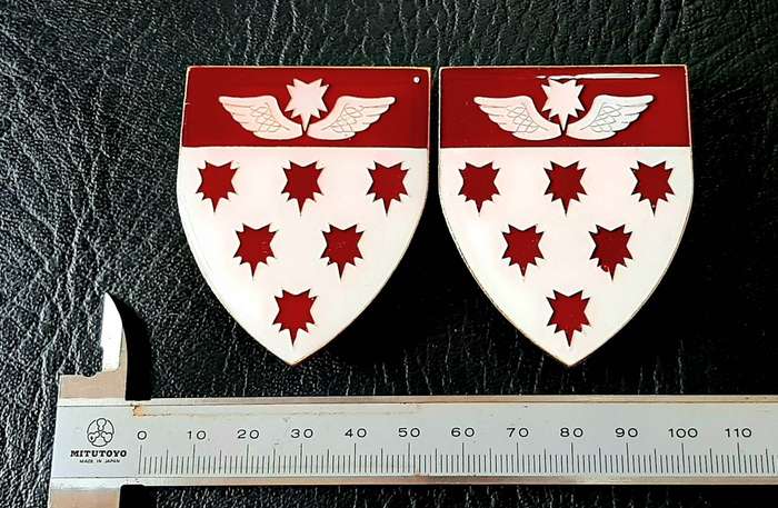 RARE: Border War 1980s - SAMS 7 Medical Battalion 'Recce' Metal & Lucite Flash Pair (Pins Intact).