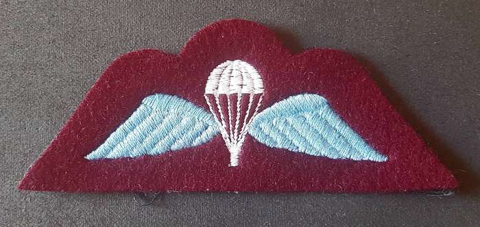 RARE: 1960s British Army- Junior Parachute Leader's Coy Qualification Badge.