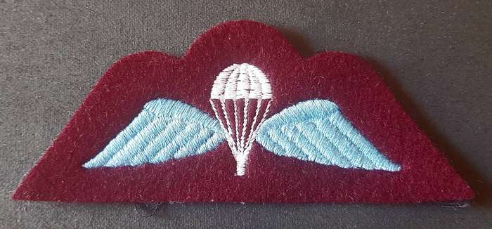 RARE: 1960s British Army- Junior Parachute Leader's Coy Qualification Badge.