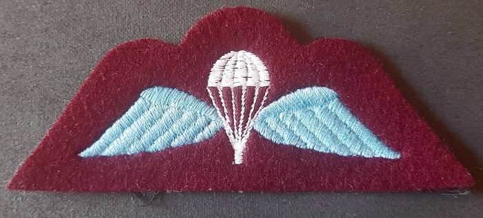 RARE: 1960s British Army- Junior Parachute Leader's Coy Qualification Badge.