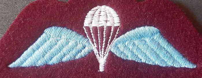 RARE: 1960s British Army- Junior Parachute Leader's Coy Qualification Badge.