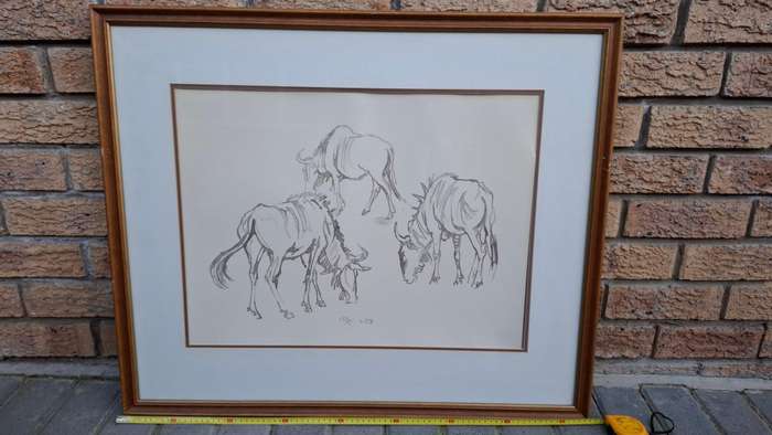 Beautiful Large Ink On Paper Of Grazing Wildebeest By South African Artist Zakkie Eloff 1925 - 2004