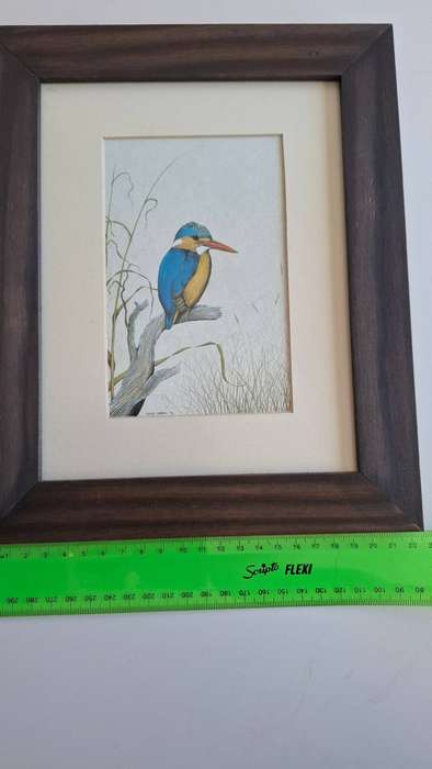Stunning Set of Three Wildlife Oil Paintings by S.A. Artist David Cubbin (Birds) in Great Condition