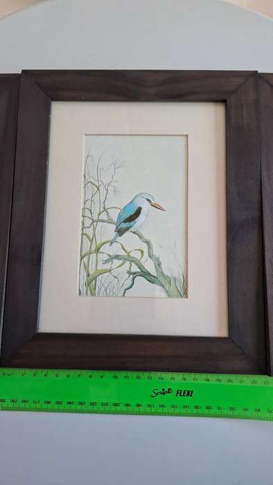 Stunning Set of Three Wildlife Oil Paintings by S.A. Artist David Cubbin (Birds) in Great Condition