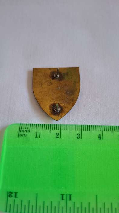 Small SADF Western Province Command Workshop Flash (Both pins intact) - Excellent Condition