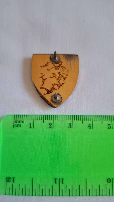 Small SADF Western Province Provost Flash (Both pins intact) - Good Condition