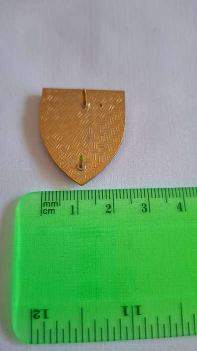 Small SADF 11 Field Engineer Regiment Flash (Both pins intact) - Excellent Condition
