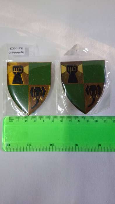 SADF Recife Commando Metal Shoulder Flash with All Pins Intact - In Excellent Condition