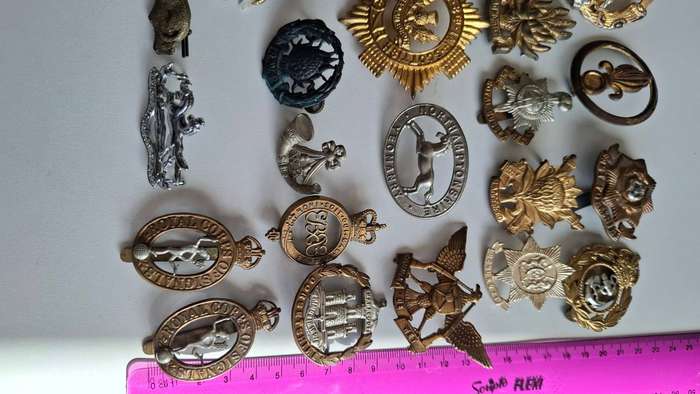 Large Collection of Military  Cap Badges and Other in Good Condition (Lot no 2) Bidding for the Lot