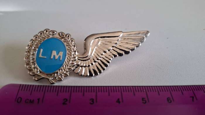 SAAF\ Wing - Loading Master - Excellent Condition - Pins intact