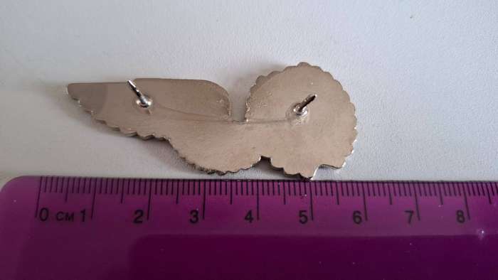 SAAF\ Wing - Loading Master - Excellent Condition - Pins intact