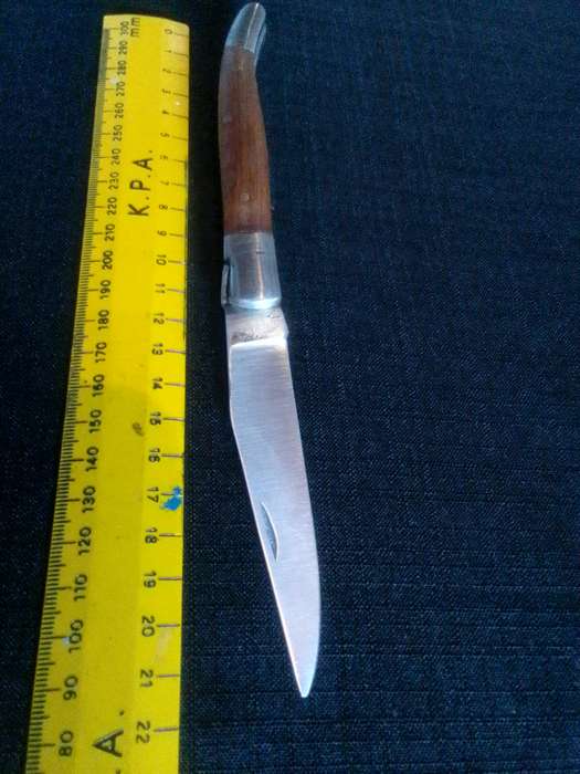 Stunning Pocket Knife with Wooden Handle in Excellent Condition L: 210mm