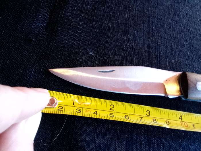 Stunning Stainless Steel Single Blade Folding Pocket Knife With Wooden Handle-Good Condition