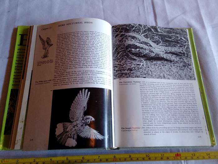 The Illustrated Encyclopedia Of Bird By Dr Jan Hanzak And Dr Jiri Formanek - Good Condition