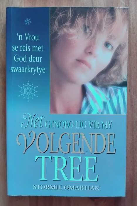 Net genoeg lig vir my volgende tree - 'n Vrou se reis met God deur swaarkrytye - Stormie Omartin