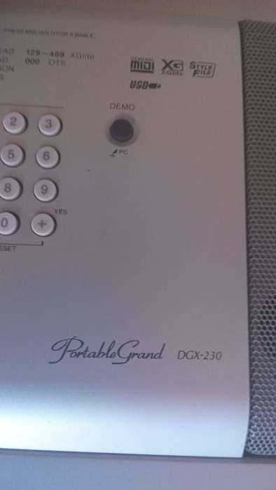 Yamaha portable grand DGX-230 & chair & stand