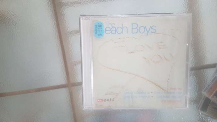 beach boys