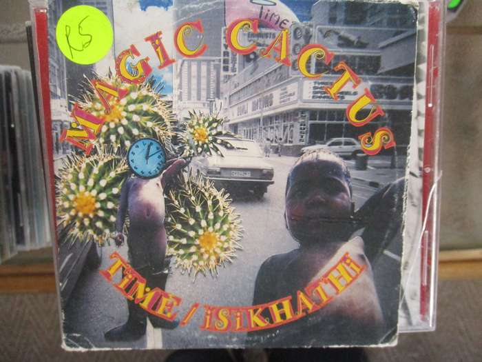 magic cactus