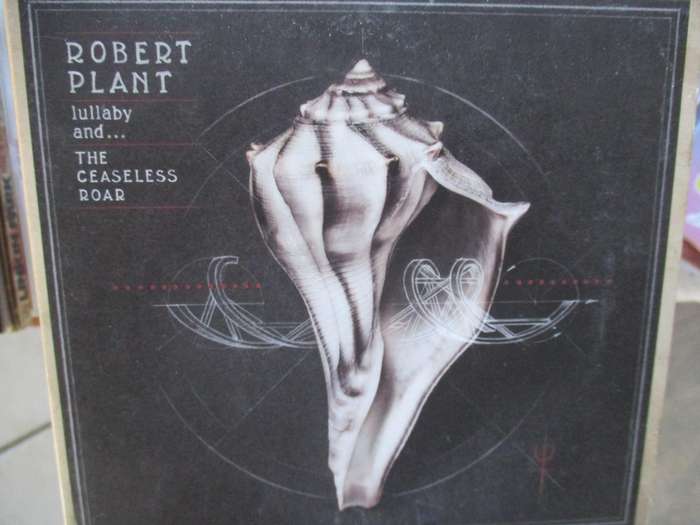 robert plant