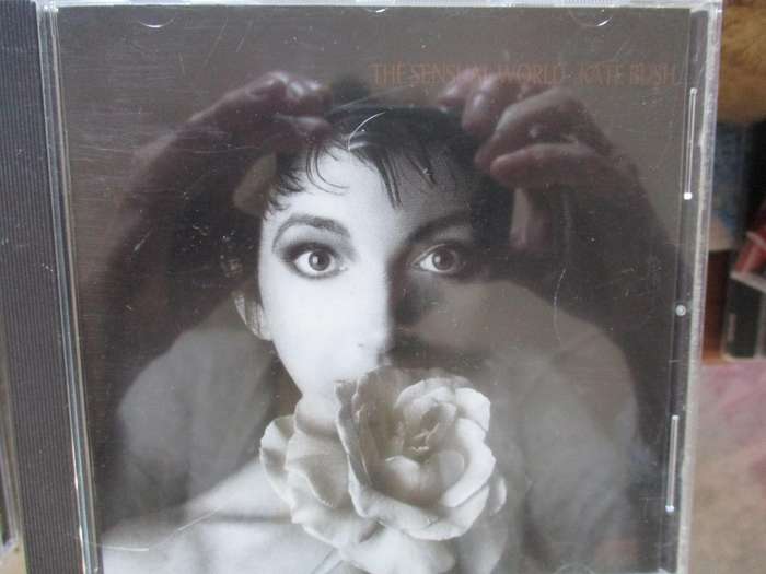 kate bush