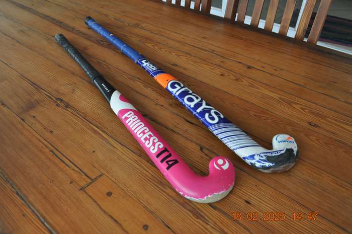 Hockey Sticks Grays and Princess