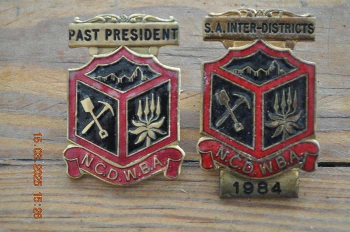 Vintage Bowing Bowls Pins Badges