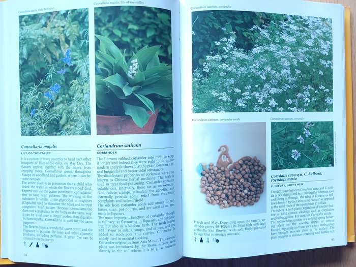 Encyclopedia of herbs by Nico Vermeulen