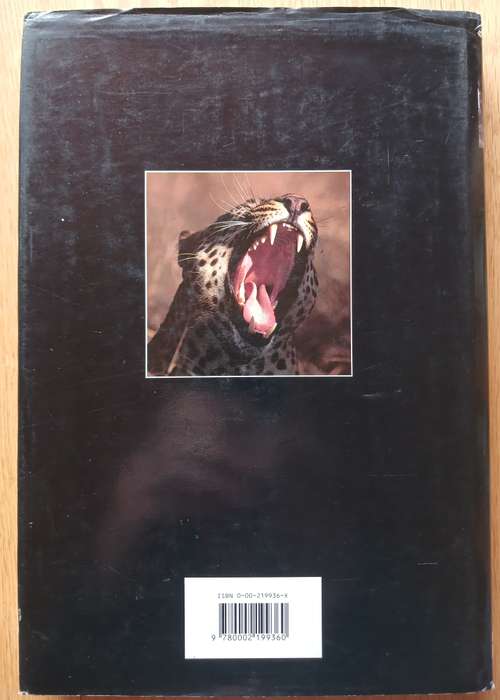 Leopard by Gerald Hinde