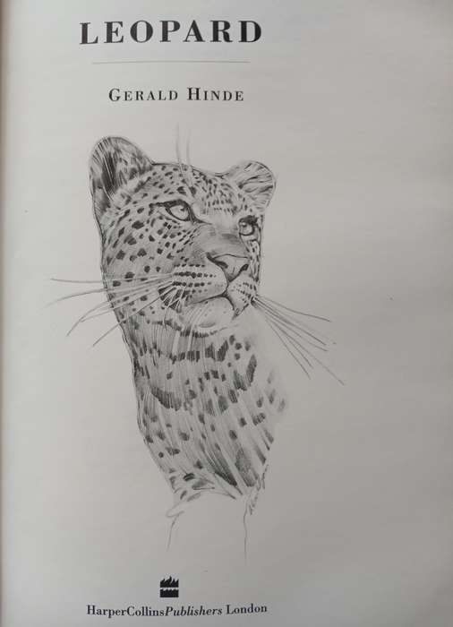 Leopard by Gerald Hinde