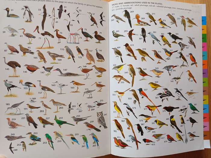 The Larger Illustrated Guide to Birds of Southern Africa by Ian Sinclair & Phil Hockey