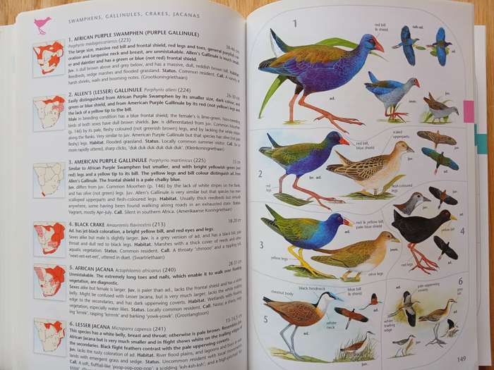 The Larger Illustrated Guide to Birds of Southern Africa by Ian Sinclair & Phil Hockey