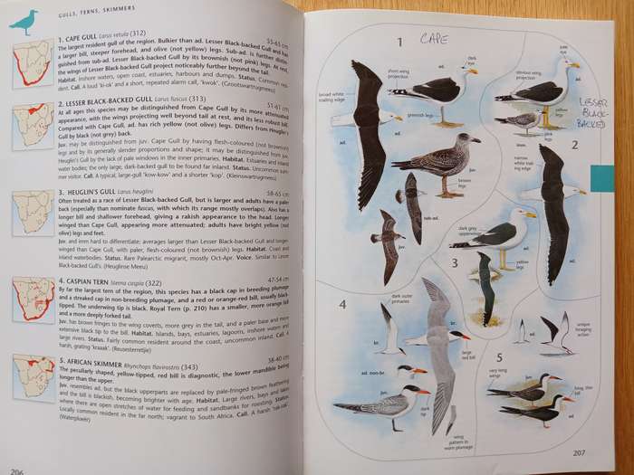 The Larger Illustrated Guide to Birds of Southern Africa by Ian Sinclair & Phil Hockey
